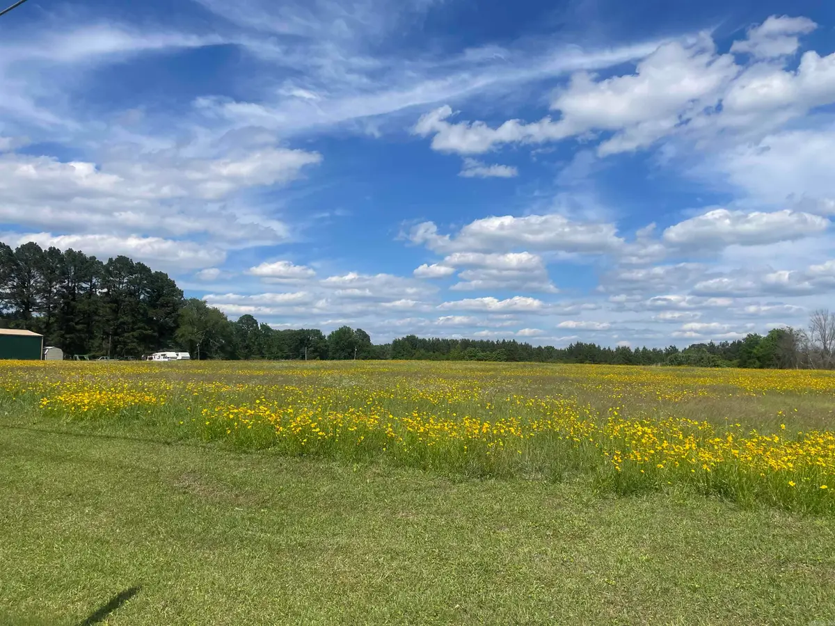 000 Highway 291, Prattsville, AR 72129 - #1
