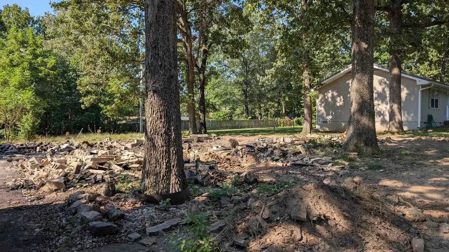 205 Ruby Lane, Horseshoe Bend, AR 72512 - #3