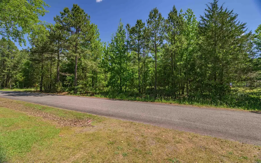 498 Resort Road, Higden, AR 72067 - #3