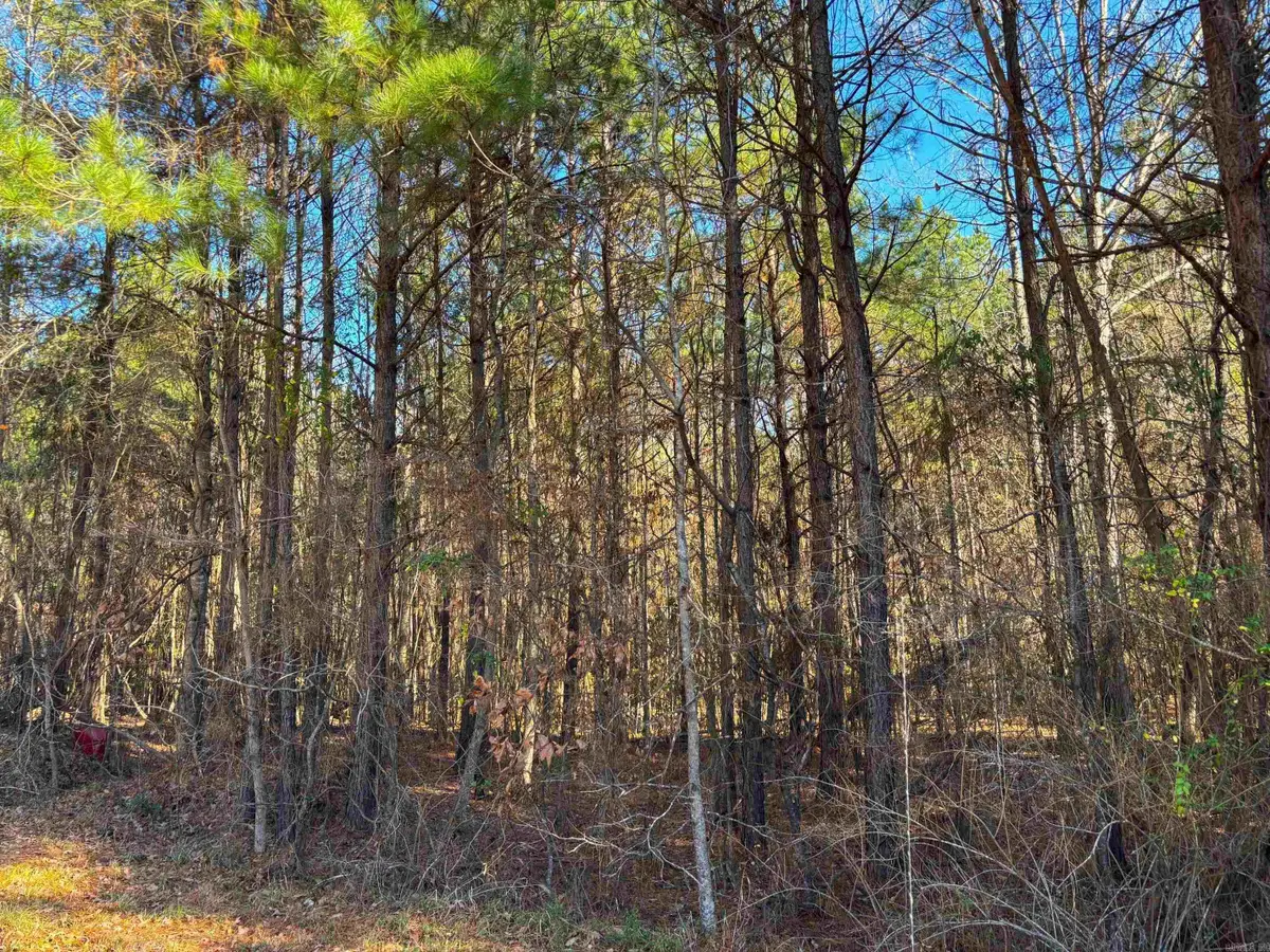 84 Grant 733, Sheridan, AR 72150 - #1