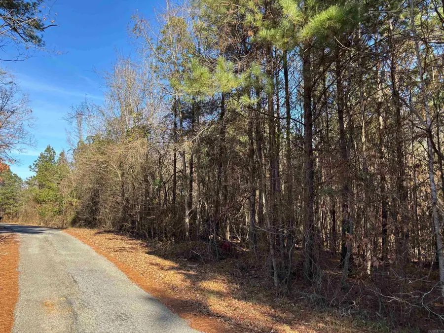 84 Grant 733, Sheridan, AR 72150 - #2