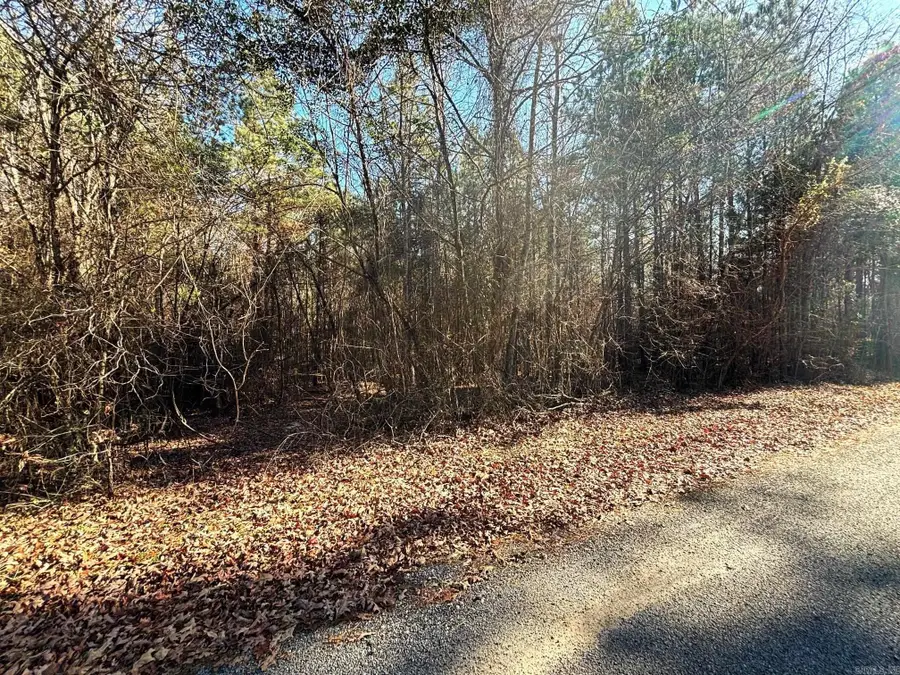 84 Grant 733, Sheridan, AR 72150 - #3