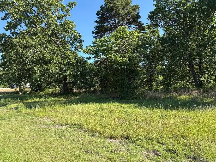 1098 Hwy 31, Romance, AR 72136 - #2