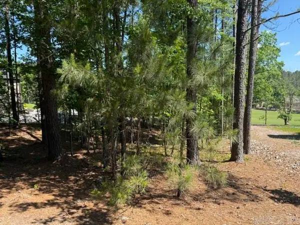 8 Piocha Drive, Hot Springs Village, AR 71909