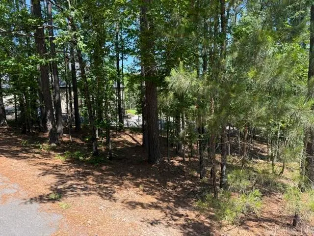 8 Piocha Drive, Hot Springs Village, AR 71909 - #2