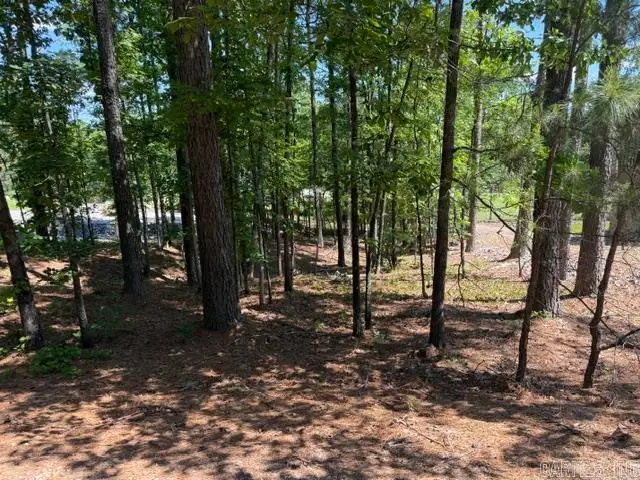 8 Piocha Drive, Hot Springs Village, AR 71909 - #3