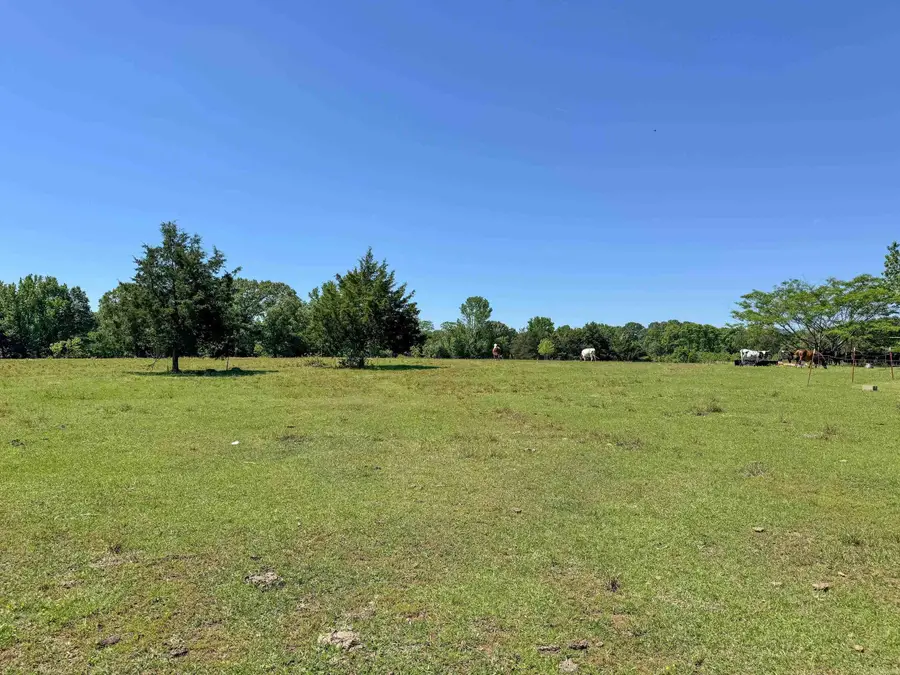 84 Herring Road, Quitman, AR 72131 - #3
