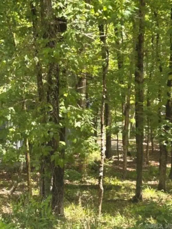 7 Sabiote Way, Hot Springs Village, AR 71909