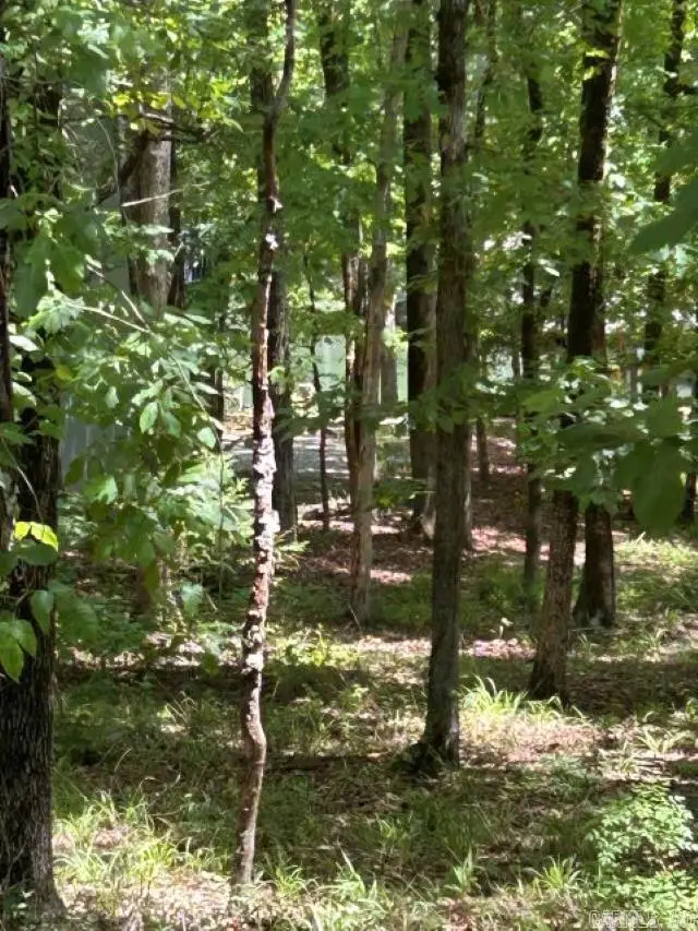 7 Sabiote Way, Hot Springs Village, AR 71909 - #2
