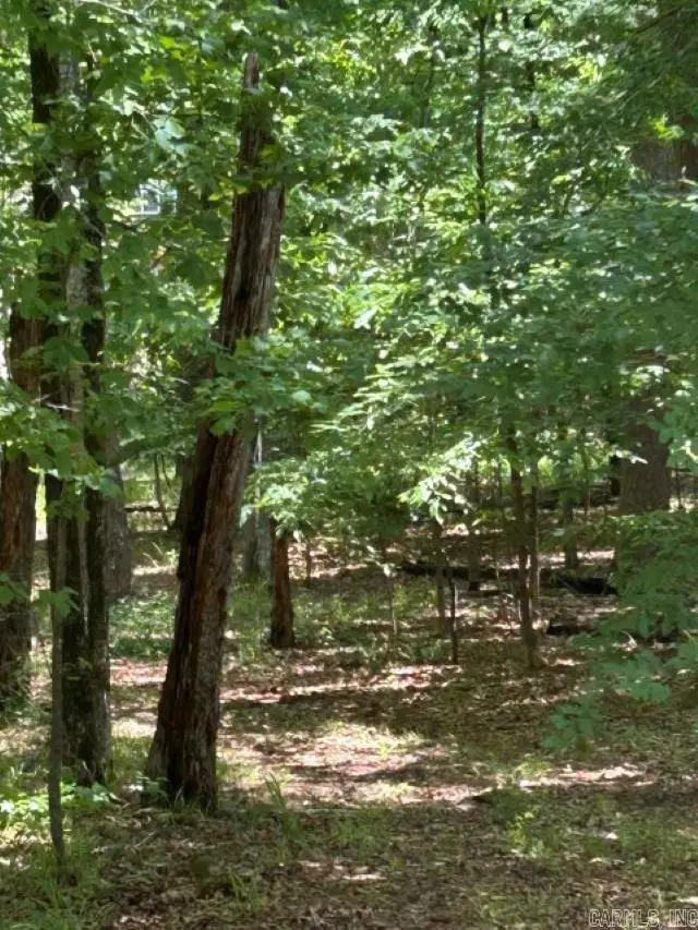 7 Sabiote Way, Hot Springs Village, AR 71909 - #3