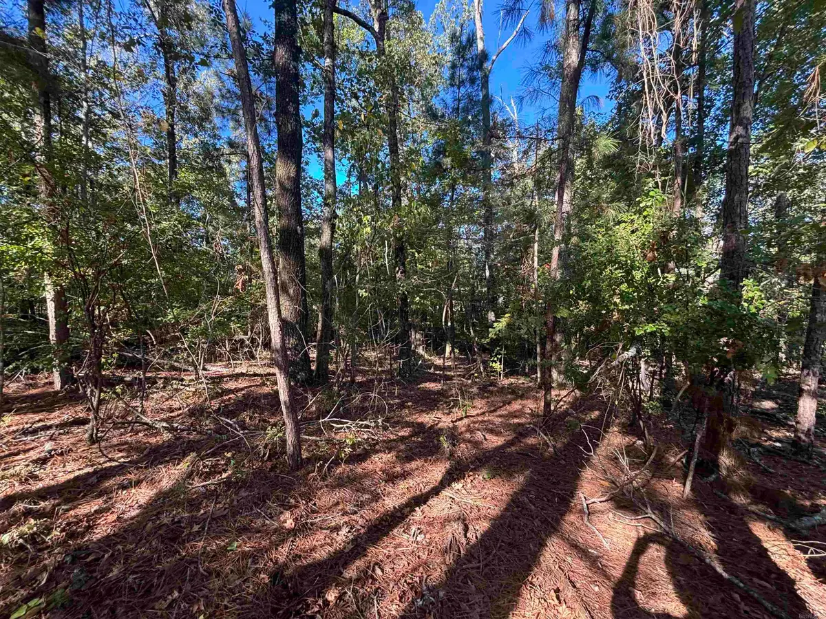0 Freda Lane (south Lot), Sheridan, AR 72150 - #1