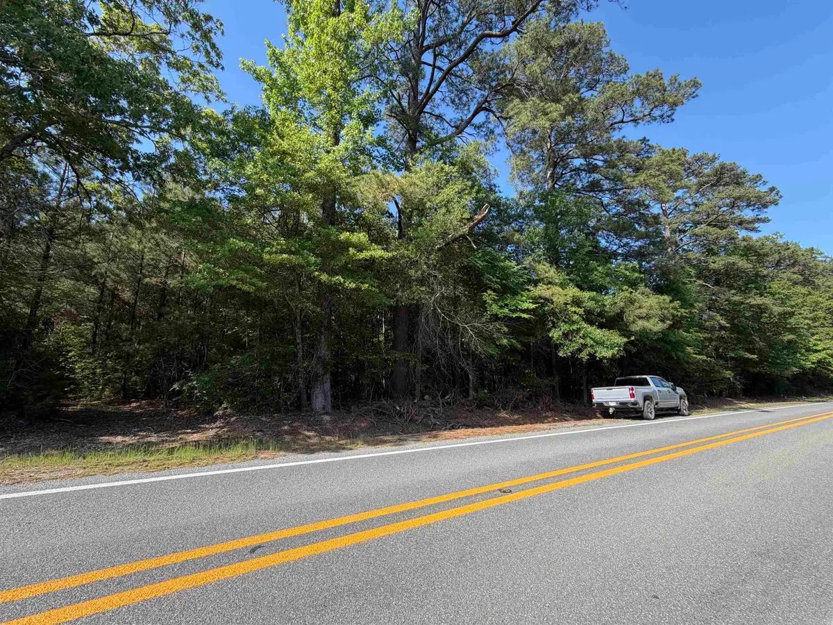 52 Hwy 160, Hermitage, AR 71647 - #1