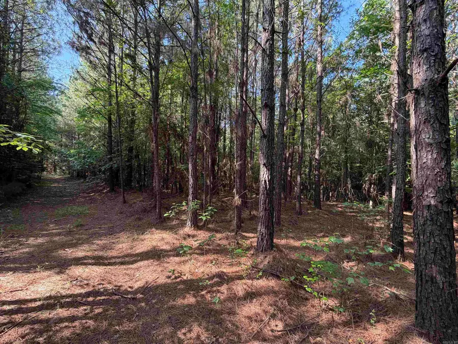 52 Hwy 160, Hermitage, AR 71647 - #2