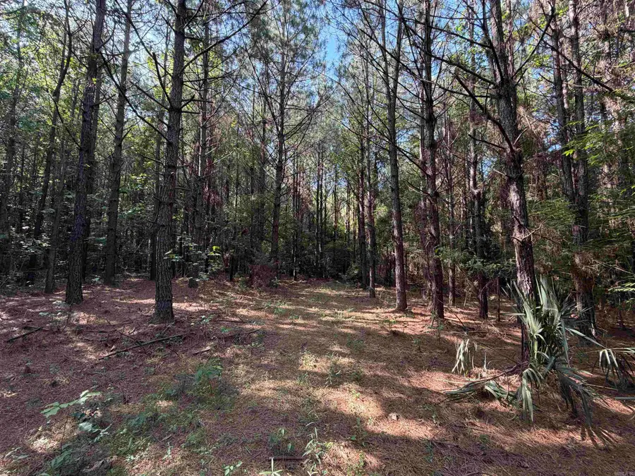 52 Hwy 160, Hermitage, AR 71647 - #3