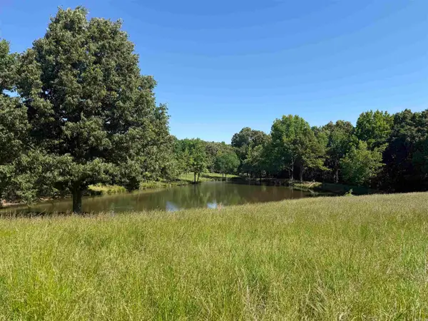 Clay 450 Road, Piggott, AR 71454