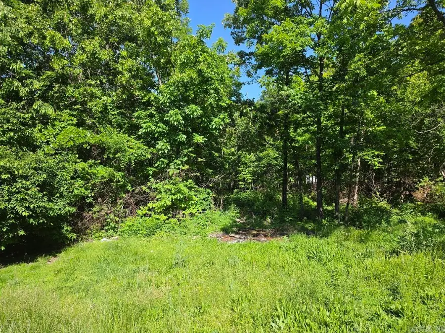 11 Private Road Aa-84 Street, Alton, MO 65606 - #2