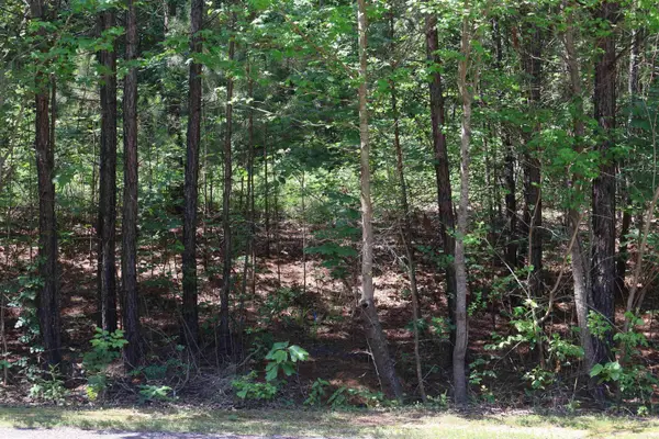 TBD Heather Ridge, Texarkana, AR 71854