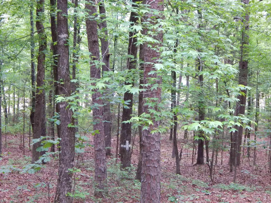 608 Hazel, Heber Springs, AR 72543 - #3