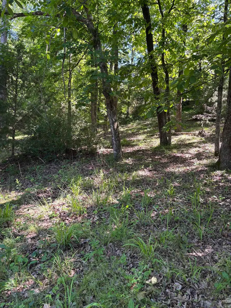TBD N Crystal Springs Road, Royal, AR 71968 - #2
