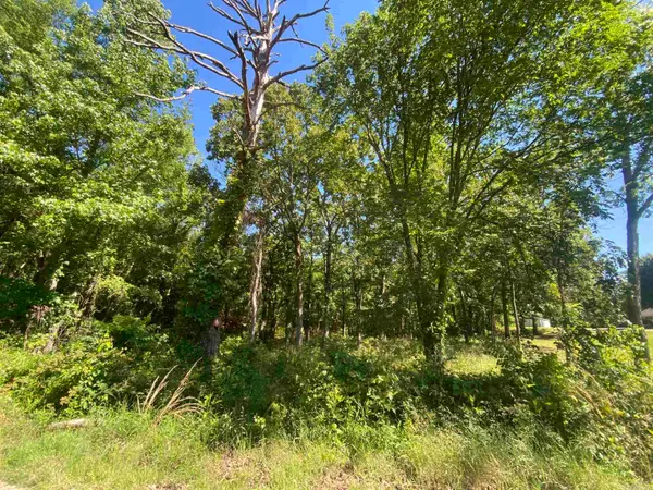 TBD Housing Authority Drive, Mount Ida, AR 71957