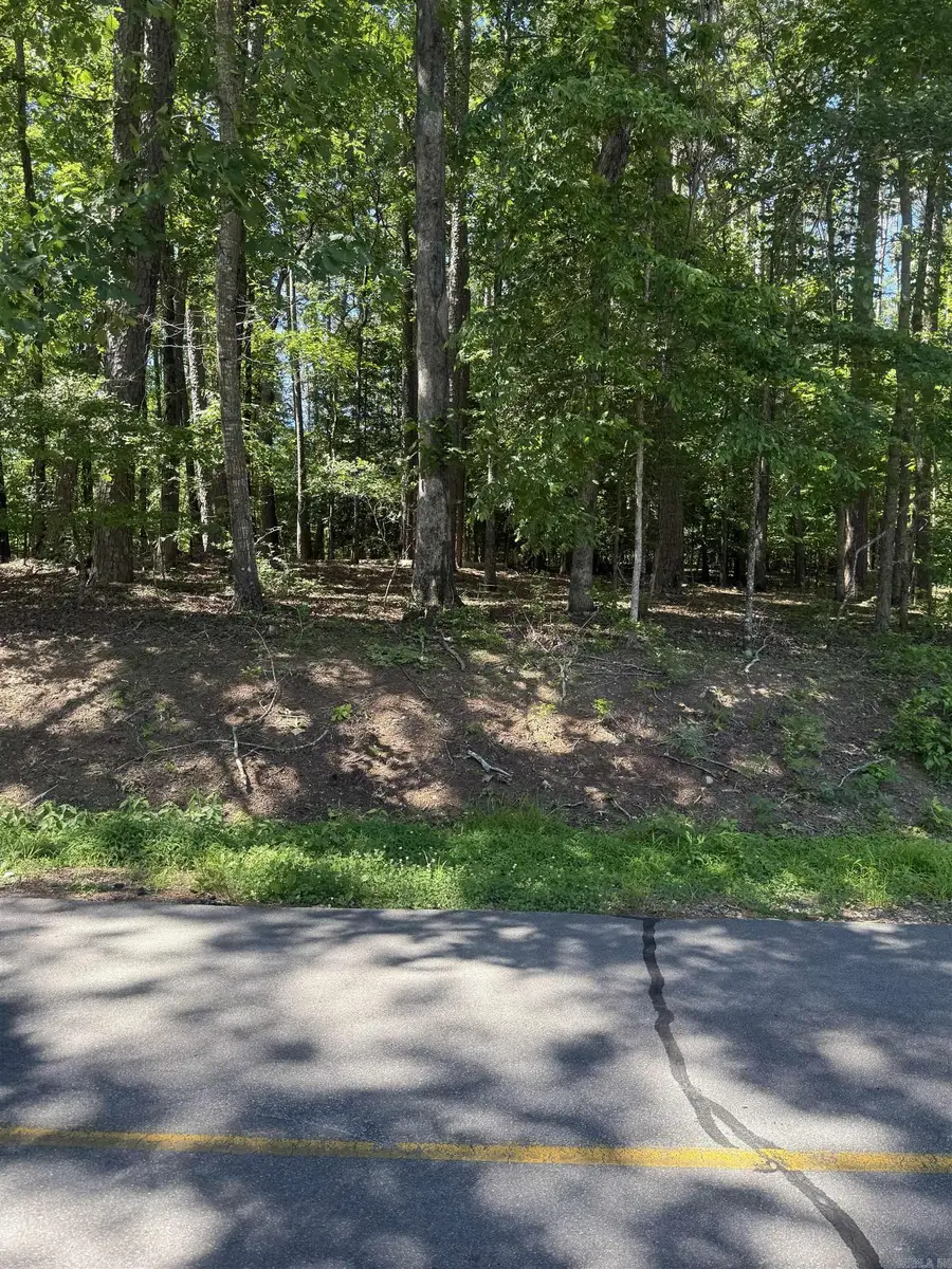 89 Arjona Way, Hot Springs Village, AR 71909 - #3
