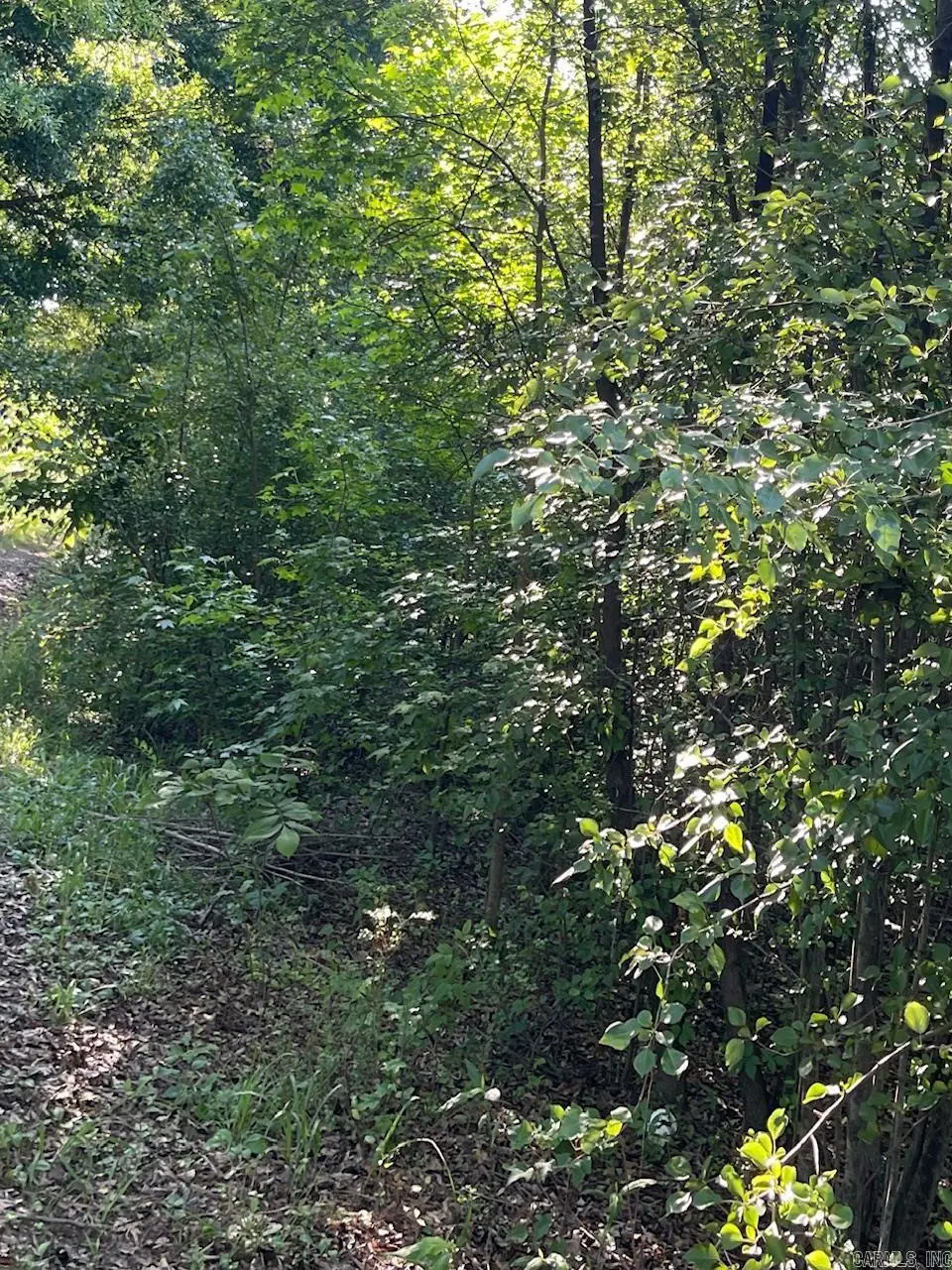 Address Withheld By Seller, Ward, AR 72176 - #1