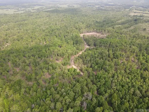N/a Red Bud Rd, Sturkie, AR 72578