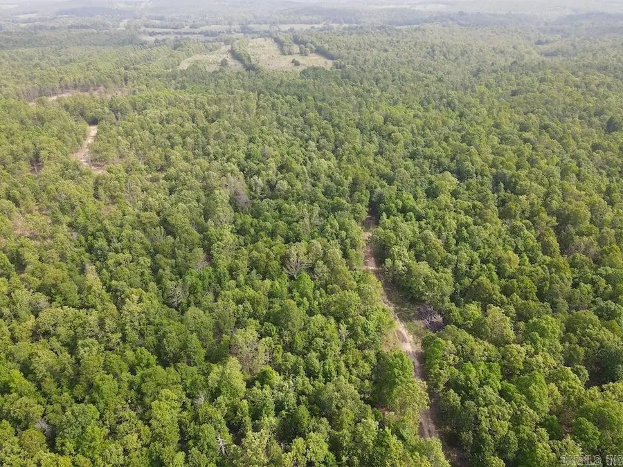 N/a Red Bud Rd, Sturkie, AR 72578 - #2