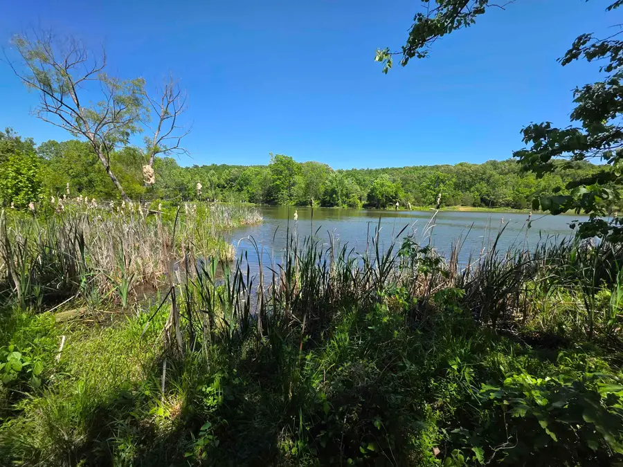 L43, 44 White Horse Mountain Road, Hardy, AR 72542 - #2