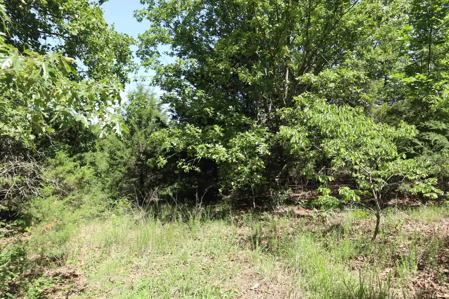 TBD Browns Chapel Rd, Mount Calm, AR 72853 - #2