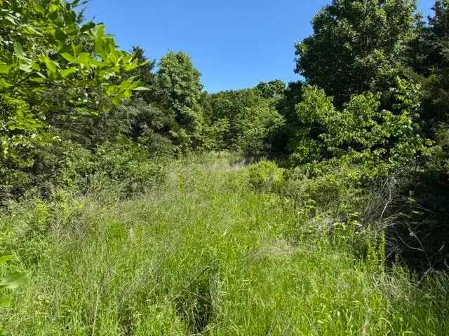 TBD Browns Chapel Rd, Mount Calm, AR 72853 - #3
