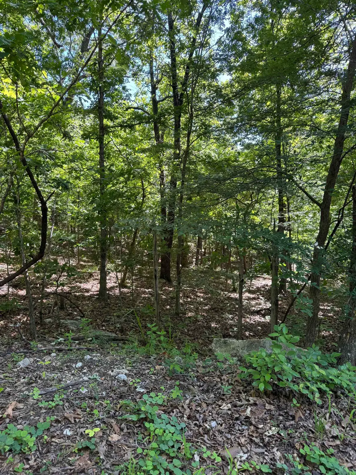 TBD Spokane Drive, Cherokee Village, AR 72529 - #1