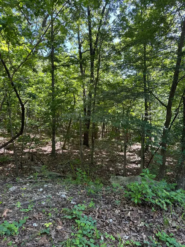 TBD Spokane Drive, Cherokee Village, AR 72529