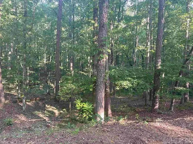 Lot 29 Carballo Lane, Hot Springs Village, AR 71909 - #1