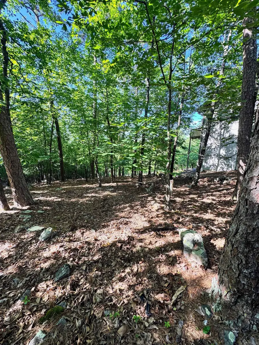 96 Mesero Way, Hot Springs Village, AR 71909 - #3