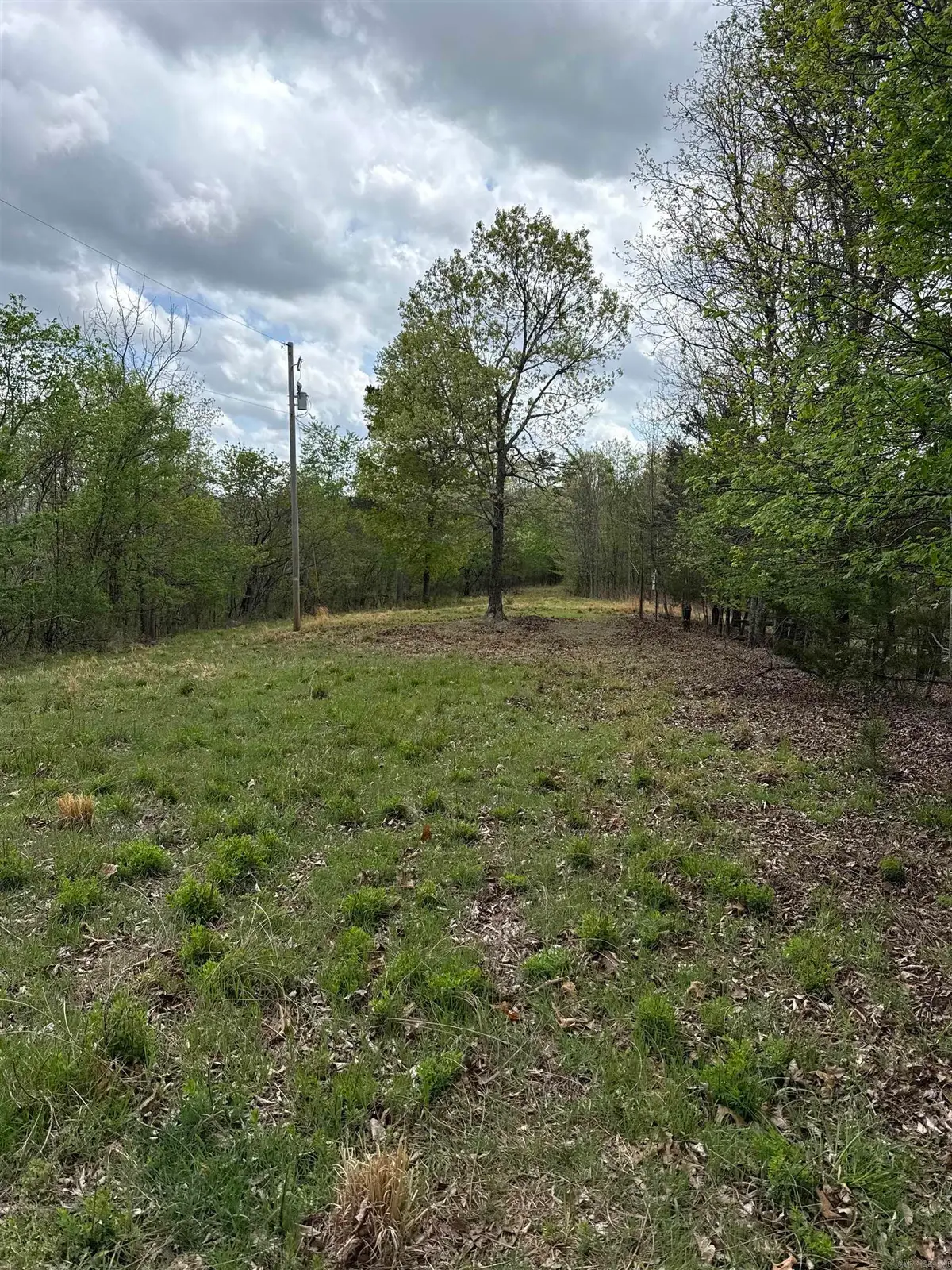 335 Mountain Retreat Trail, Mountain View, AR 72560 - #1