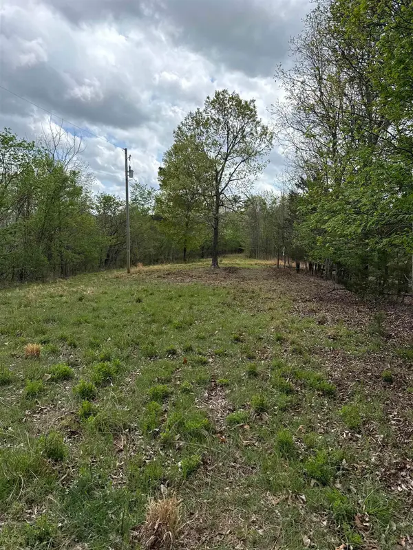 335 Mountain Retreat Trail, Mountain View, AR 72560