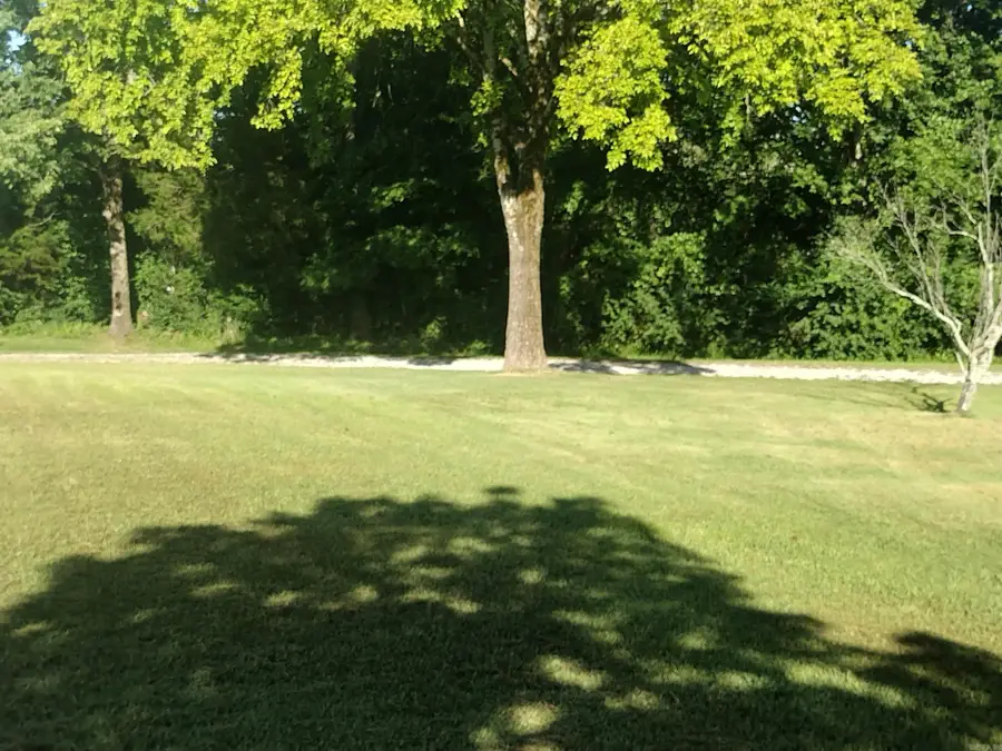 601 South Peabody, Mountain View, AR 72560 - #3