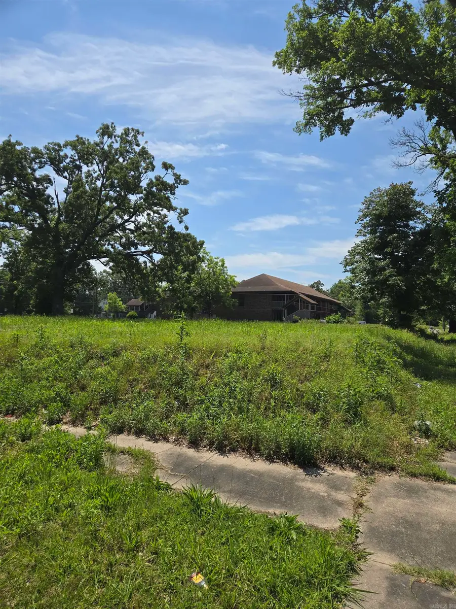 1120 W 12th Avenue, Pine Bluff, AR 71601 - #3