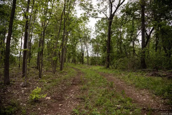 000 State Highway Y, Myrtle, MO 65778