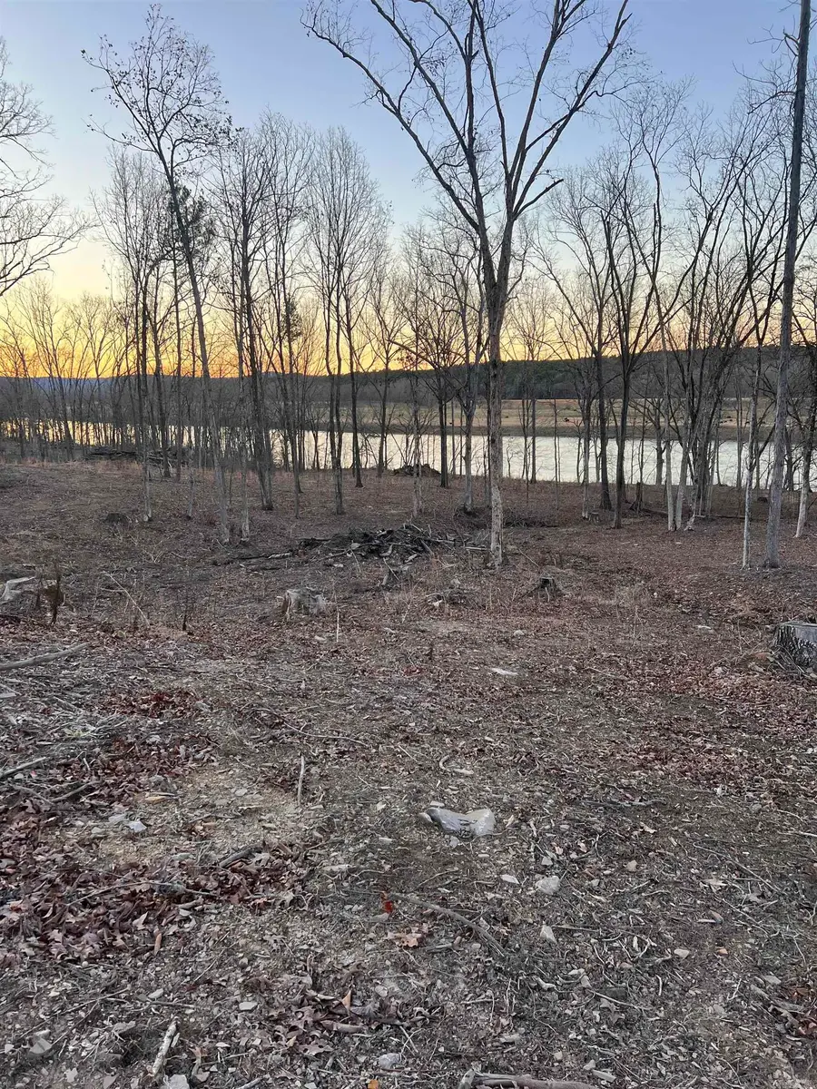 Tract 2 Mountain View Road, Locust Grove, AR 72550 - #2