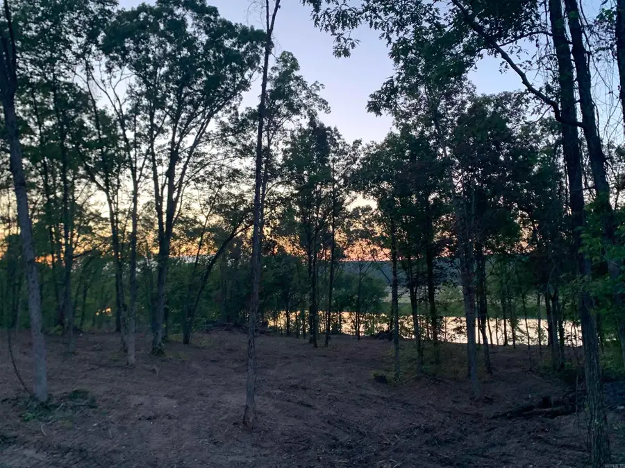 Tract 2 Mountain View Road, Locust Grove, AR 72550 - #3