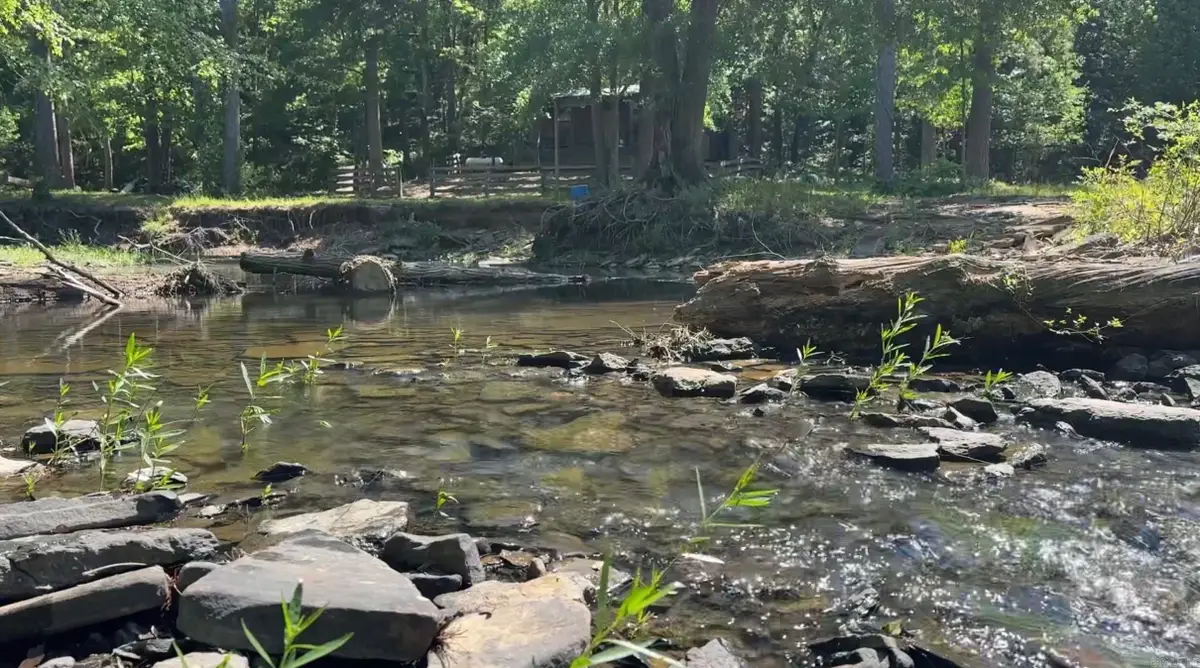 000 Yuba Road, Heber Springs, AR 72543 - #1