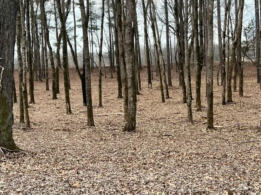 00 Sunshine (lot 4) Lane, Pangburn, AR 72121 - #3