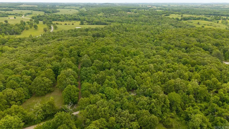 14782 County Road 7990, Bakersfield, MO 65609 - #3
