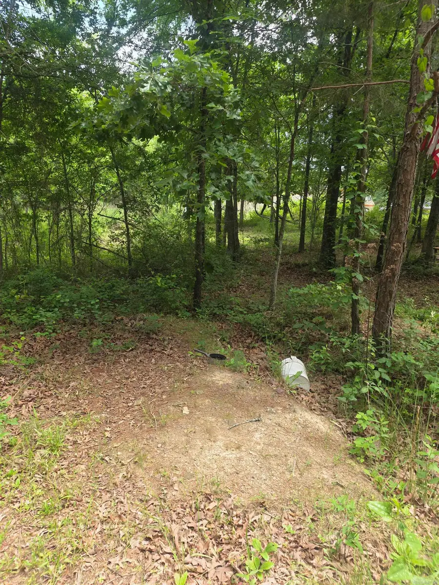 TBD Polk Rd 76 E, Mena, AR 71953 - #3