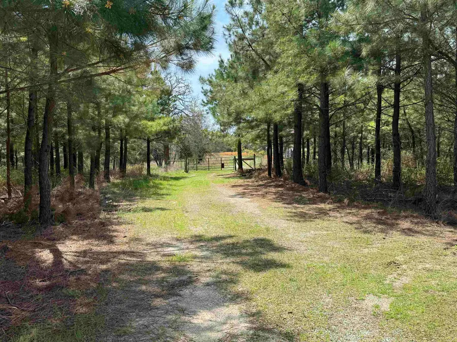 2061 Chapel Hill Road, Melbourne, AR 72556 - #3