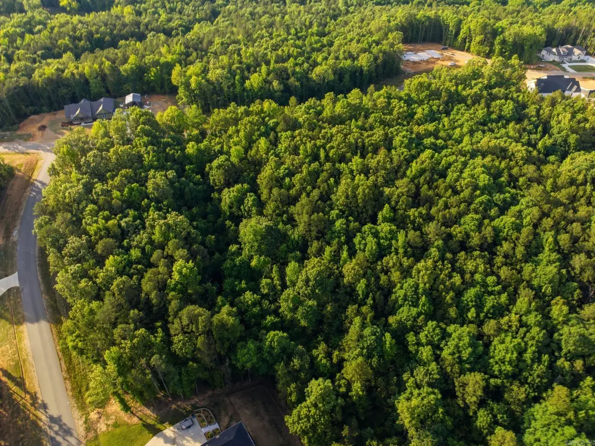 Lot 21, Benton, AR 72019 - #1