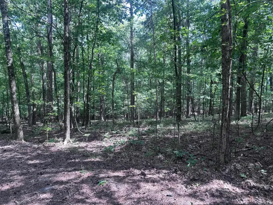 7 Novato Ln, Hot Springs Village, AR 71909 - #2