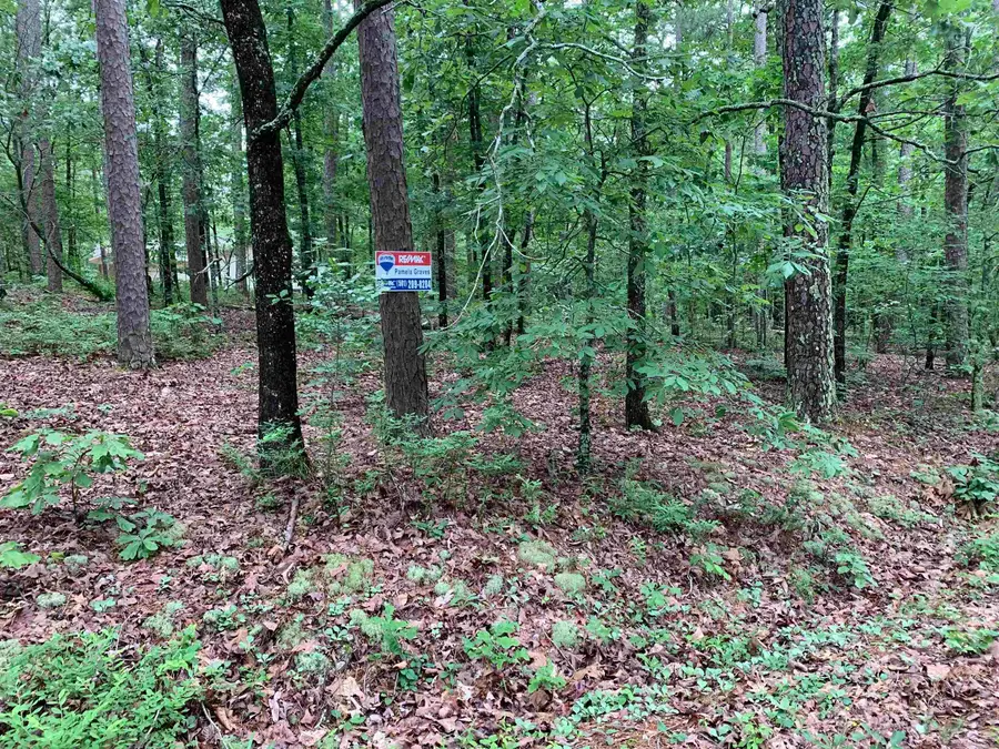 11 Estancia Way, Hot Springs Village, AR 71909 - #3